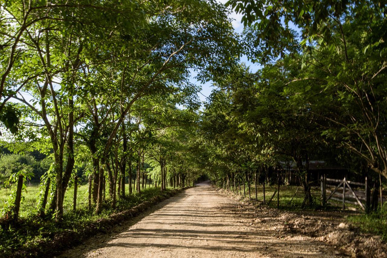 Villas Adriana, Palenque Exterior foto